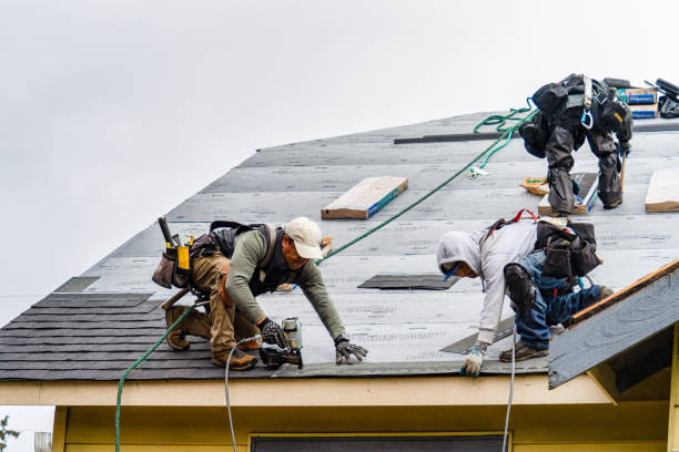 Professional Emergency Roof Repair technician working in Hatfield, MA